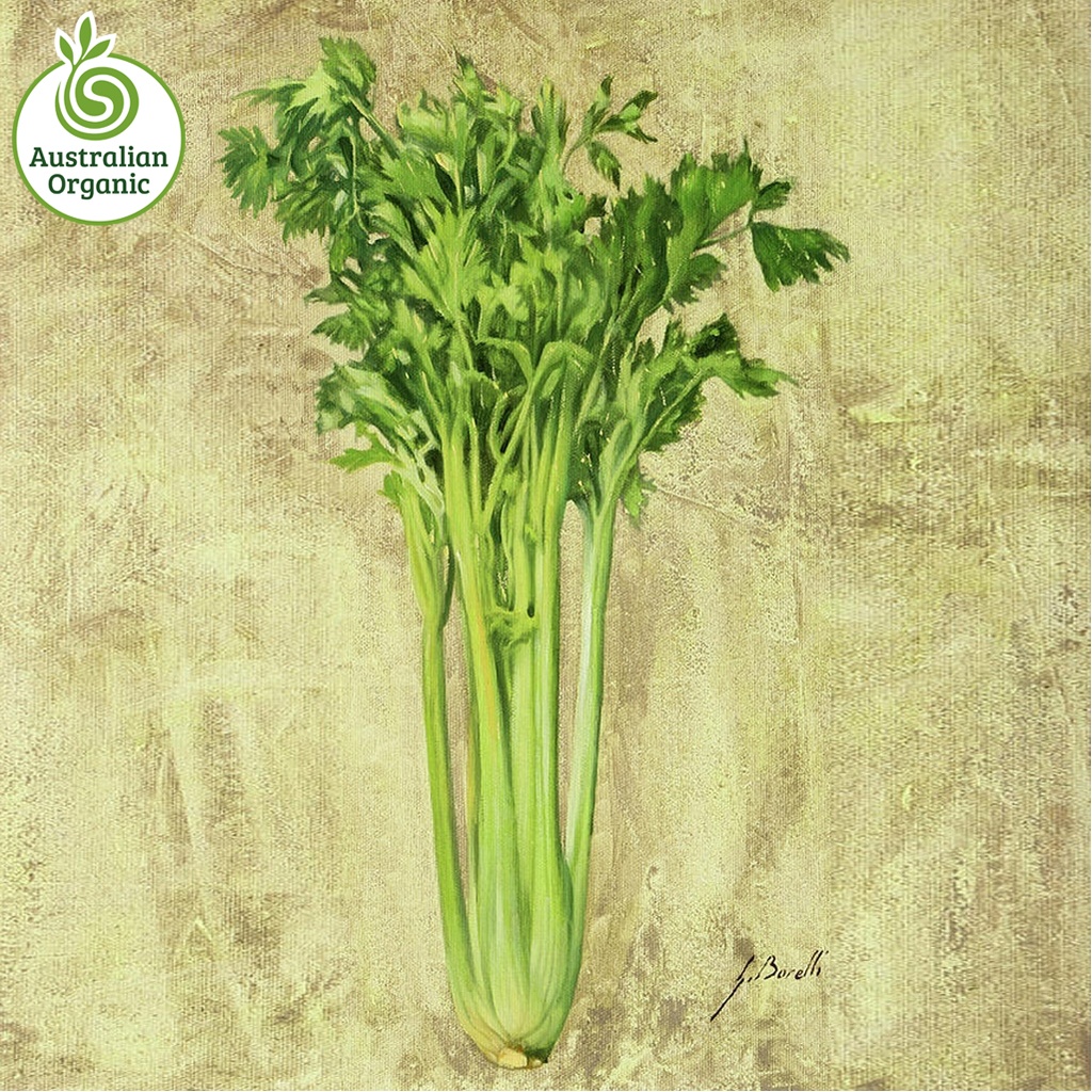 Certified Organic Celery - Juicing Bunch