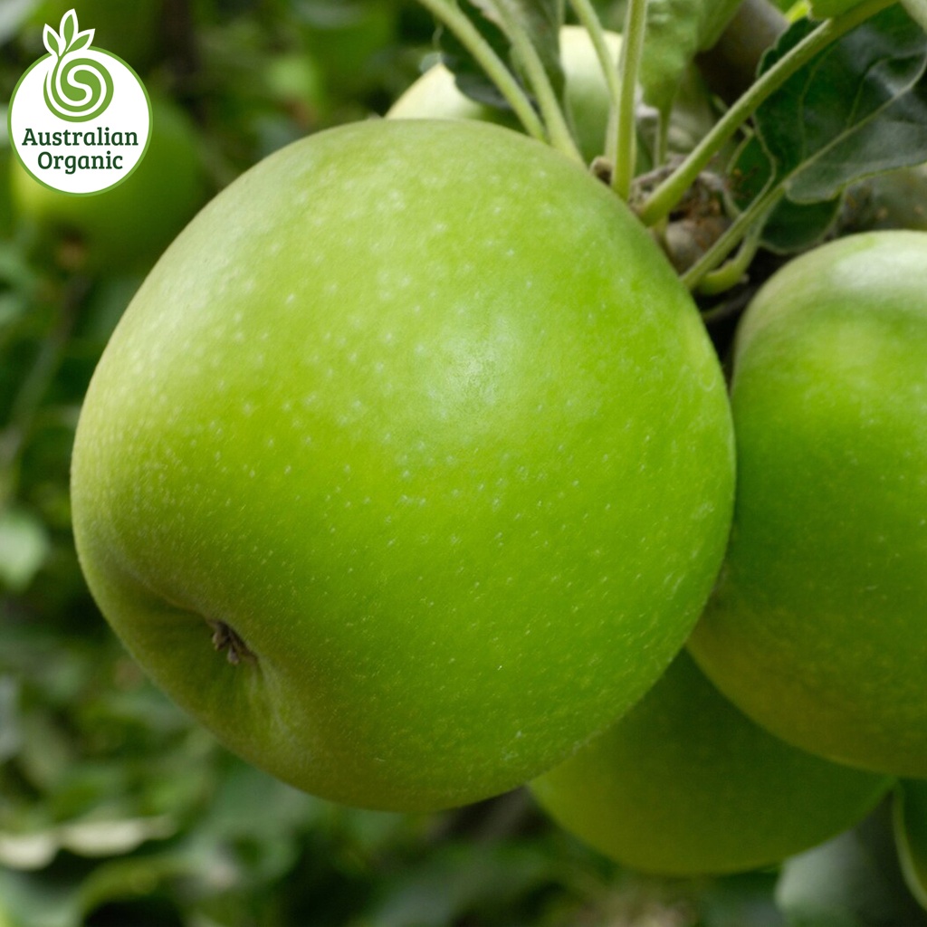 Certified Organic Apples - Granny Smith (New Season)