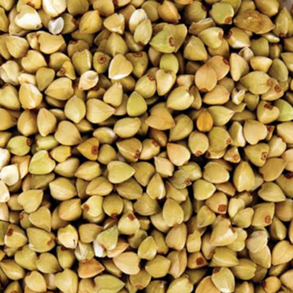 CERTIFIED ORGANIC | Buckwheat Grain