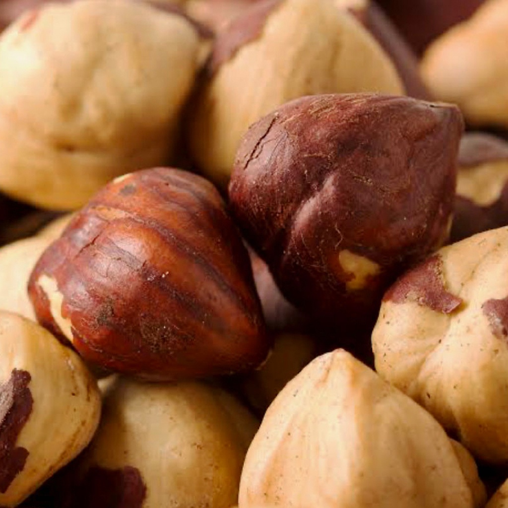 CERTIFIED ORGANIC | Hazelnuts Raw