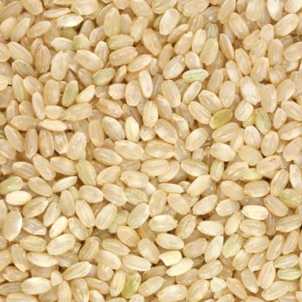 CERTIFIED ORGANIC | Medium Grain Brown Rice