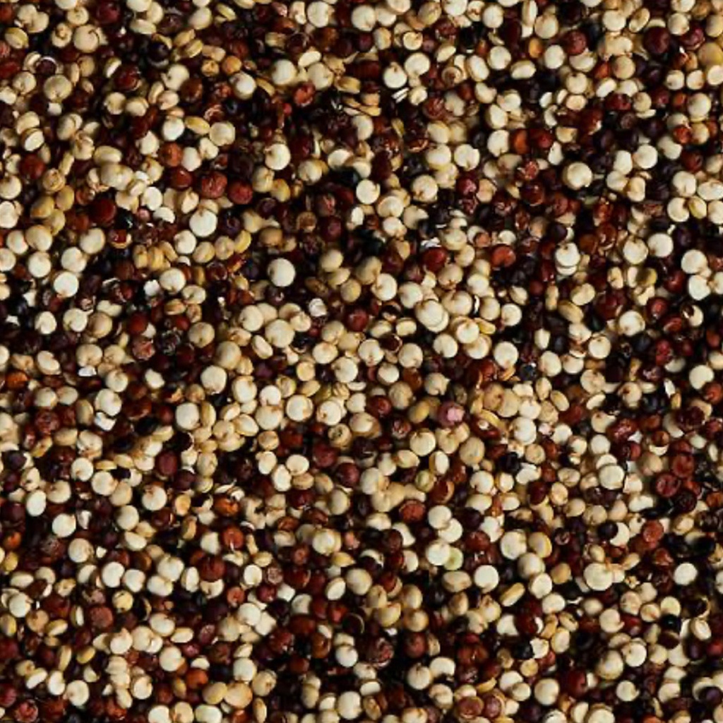 CERTIFIED ORGANIC | Quinoa Mixed