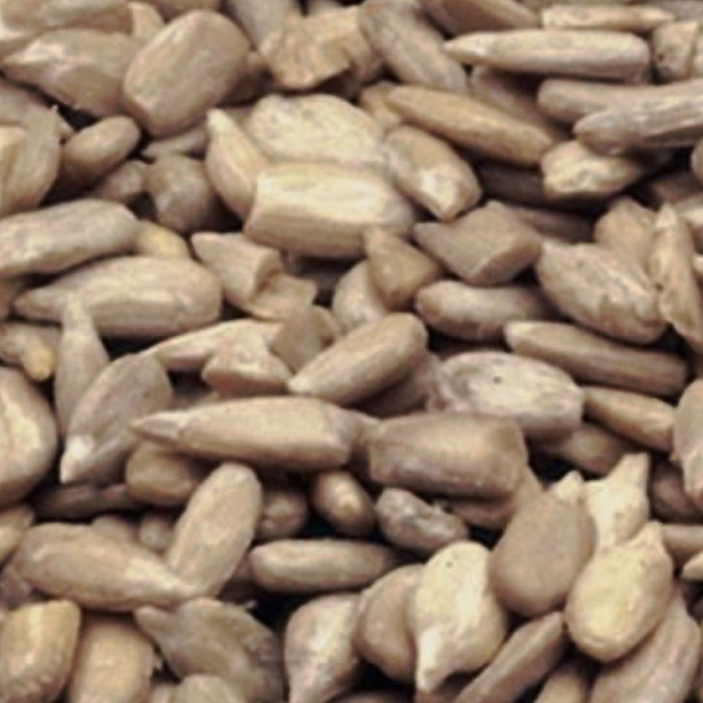 CERTIFIED ORGANIC | Sunflower Seeds