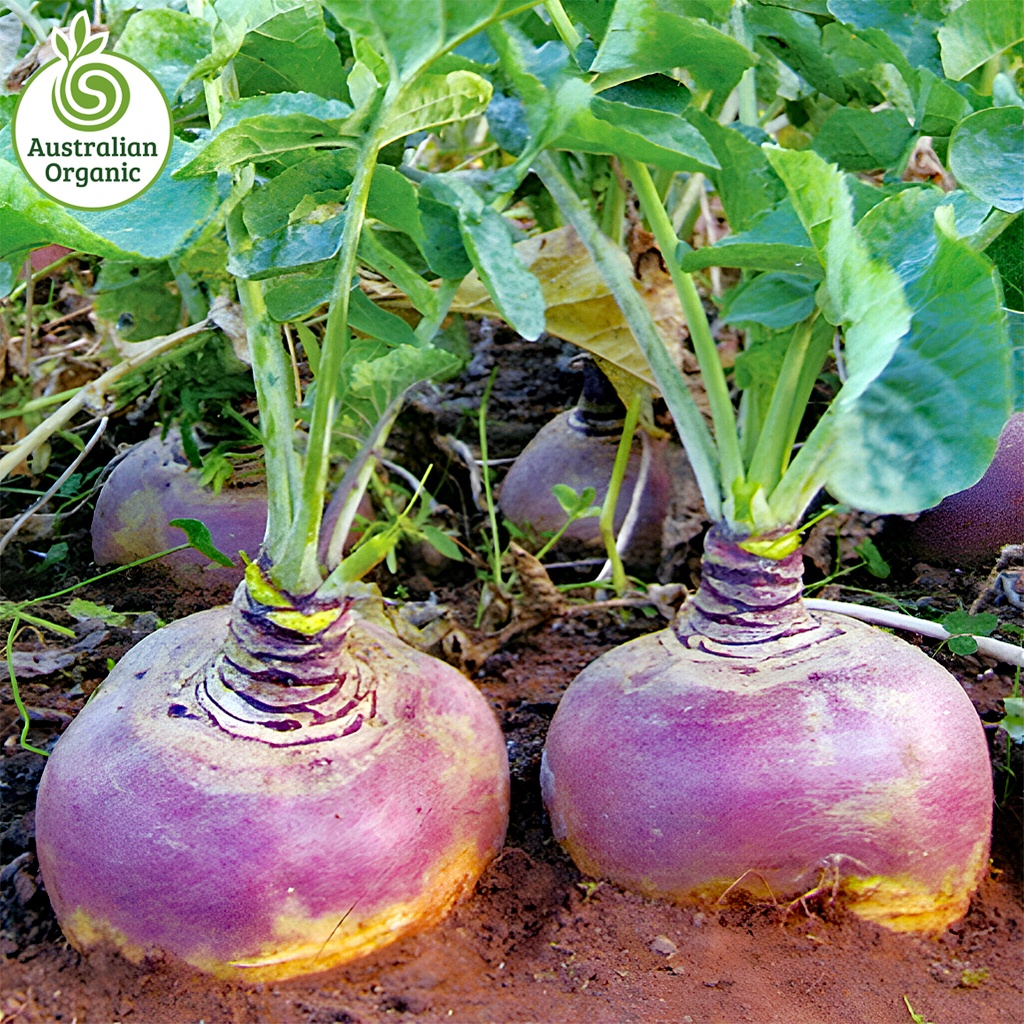 Certified Organic Swedes