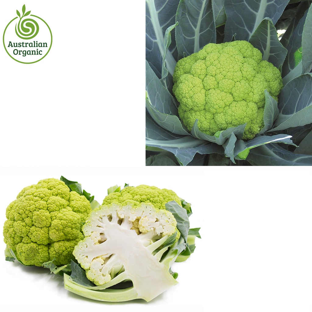Certified Organic Cauliflower - Green (colour may vary upon availability)