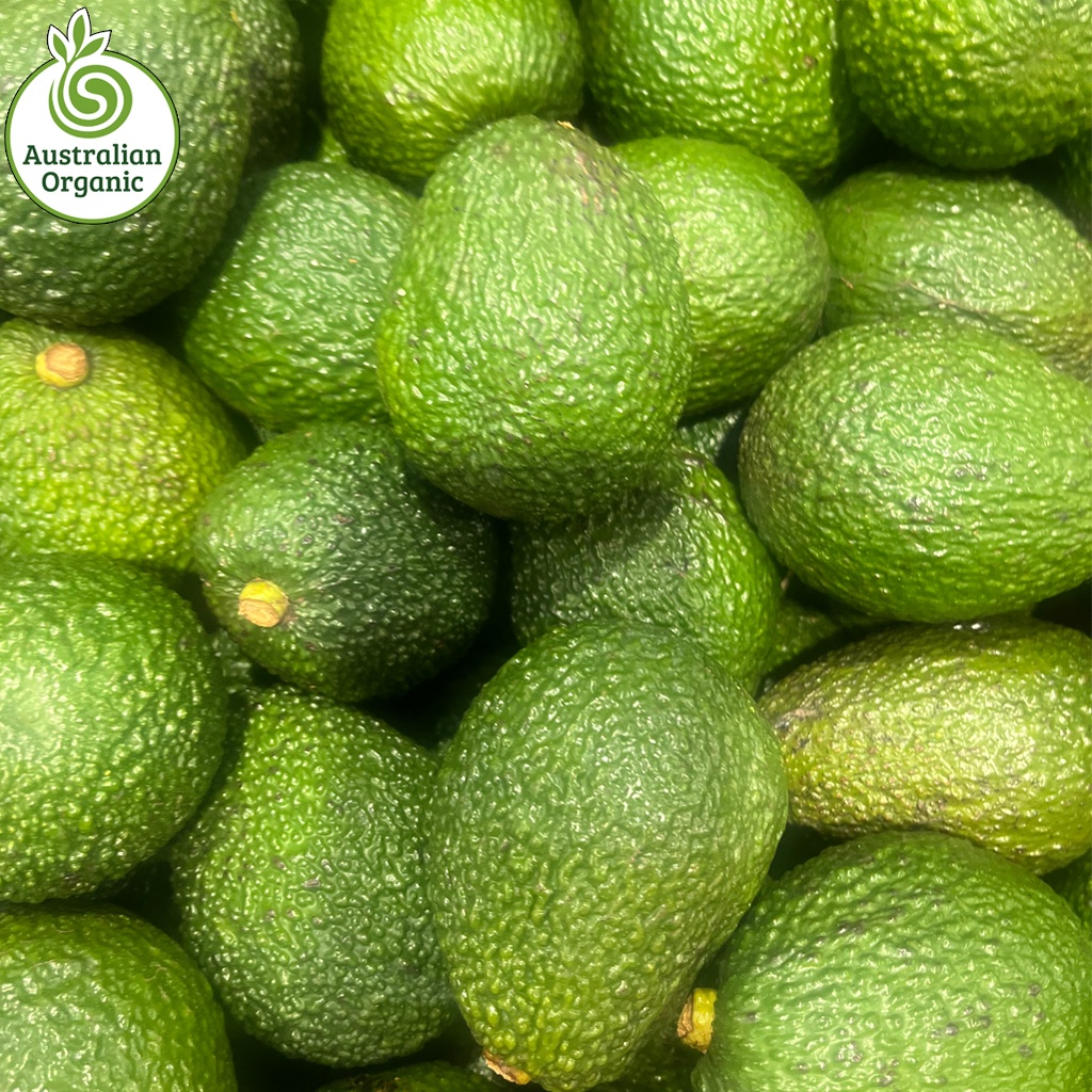 Certified Organic Avocados - Loose (kg) Hass