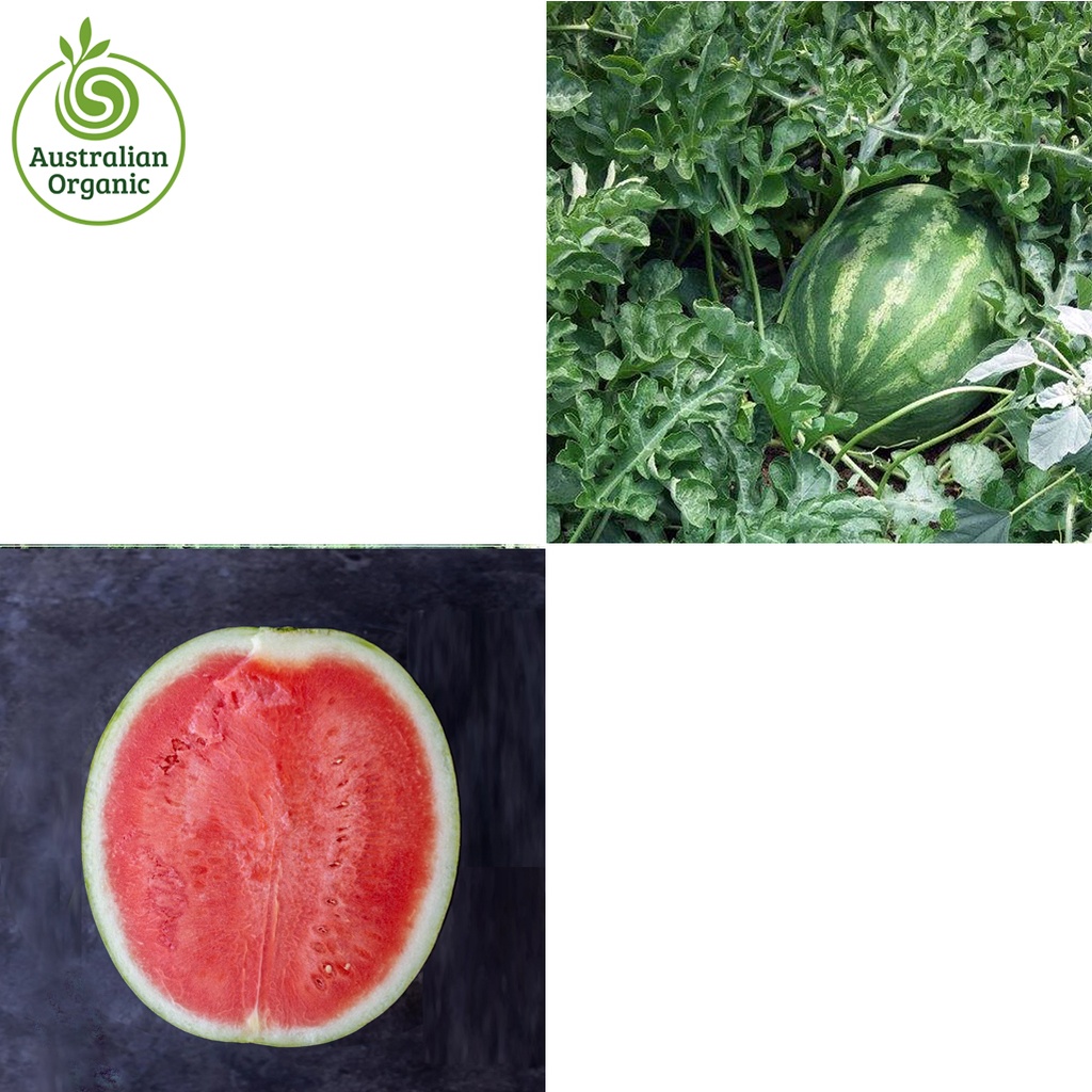 Certified Organic Watermelon - Seedless