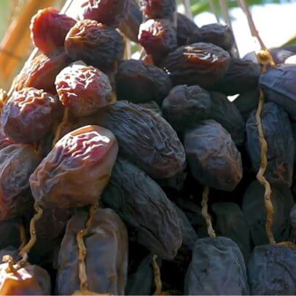 Certified Organic Dates Medjool Dried