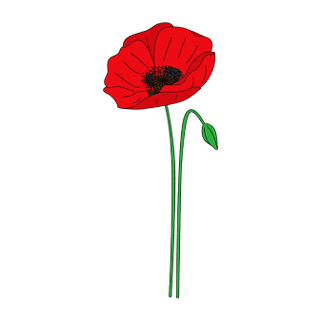 TALL POPPY FARM |  經過認證的有機無大豆放養雞蛋800克