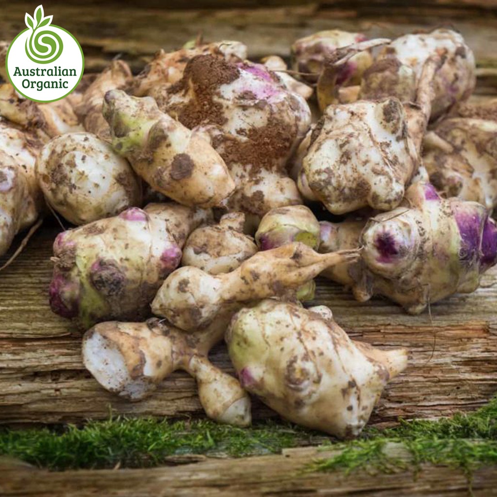 Certified Organic Artichoke - Jerusalem