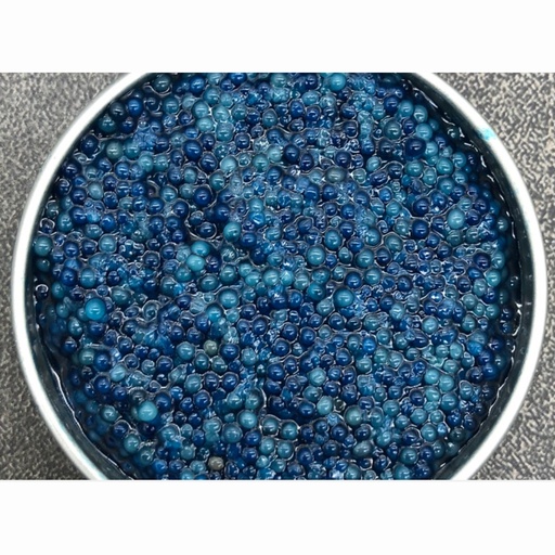 Seafood | Western Australian Premium Wild Scampi Caviar Jar CHILLED 25g