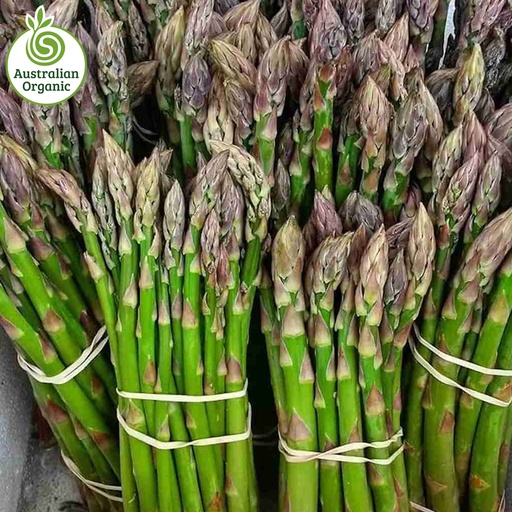 Certified Organic Asparagus - Bunch
