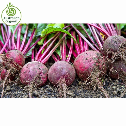Certified Organic Beetroot - Bunch Red