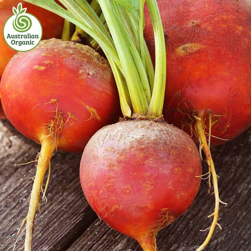 Certified Organic Beetroot - Gold Loose