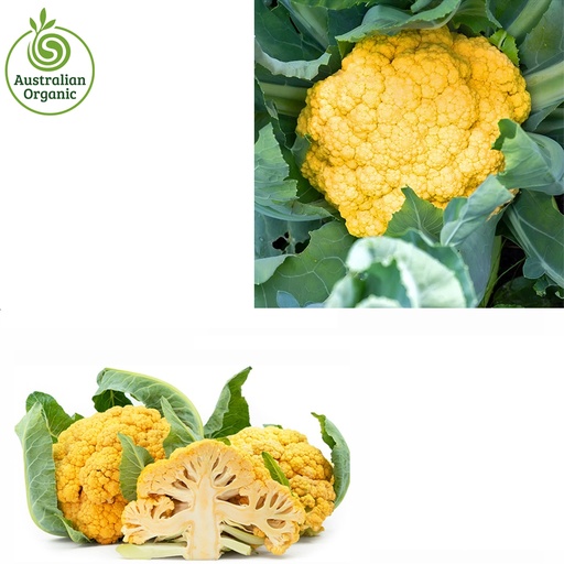 Certified Organic Cauliflower - Yellow (colour may vary upon availability)