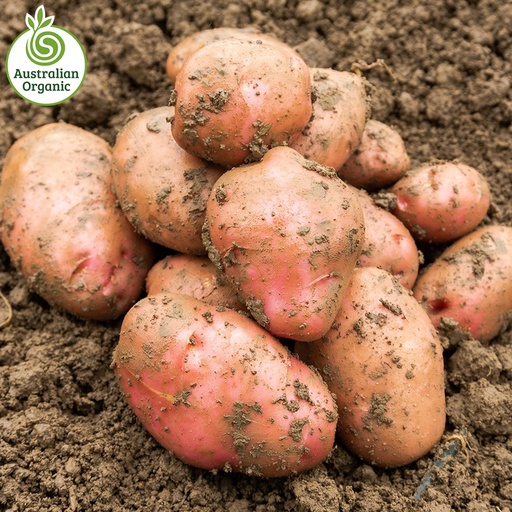 Certified Organic Potatoes - Desiree