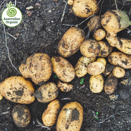 Certified Organic Potatoes - Dutch Creams