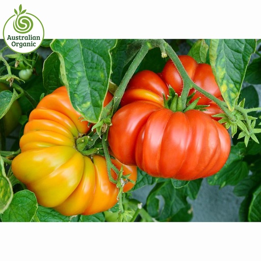 Certified Organic Tomato - Heirloom