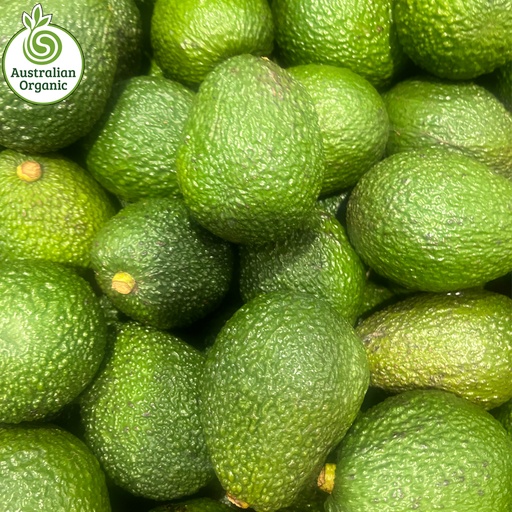 Certified Organic Avocados - Loose (kg) Hass