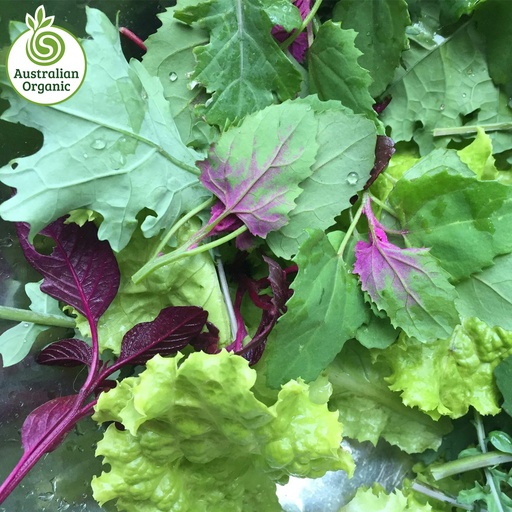 Certified Organic Salad - Super Food Mix (Punnet 120g)