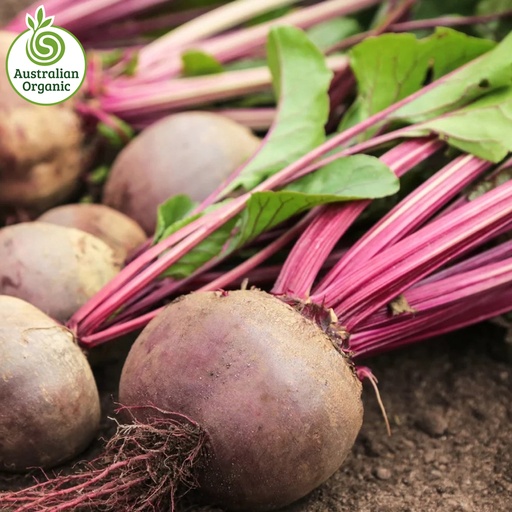 Certified Organic Beetroot Red Loose - Large