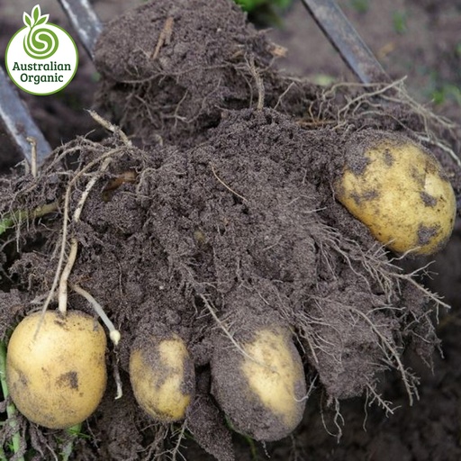 Certified Organic Potatoes - Sebago Chats