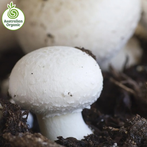Certified Organic Mushrooms - White Cups (180g Punnets)
