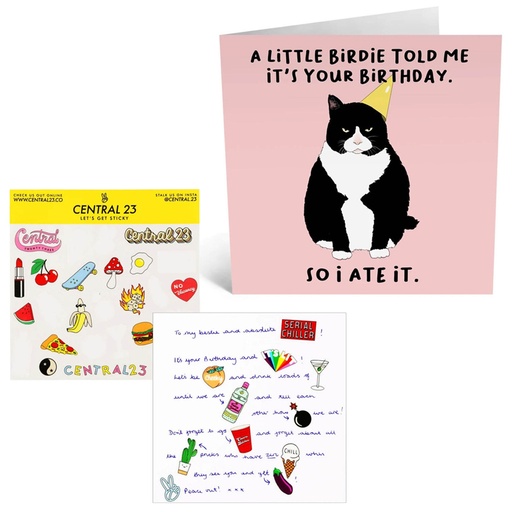 CENTRAL23 | 一隻小鳥