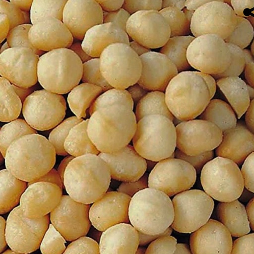 CERTIFIED ORGANIC | Macadamia Raw