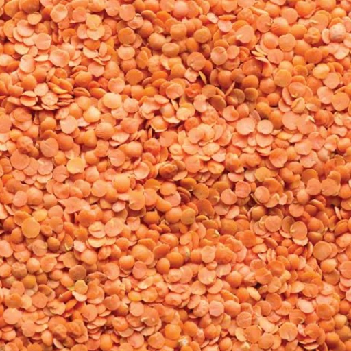 CERTIFIED ORGANIC | Red Split Lentils